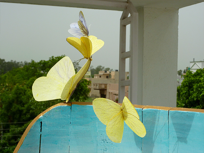 Sheyna Baig project1 