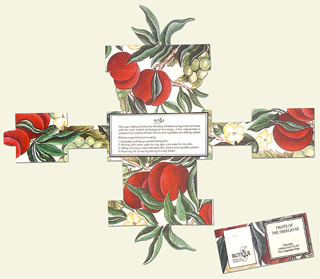Sheyna Baig project4 